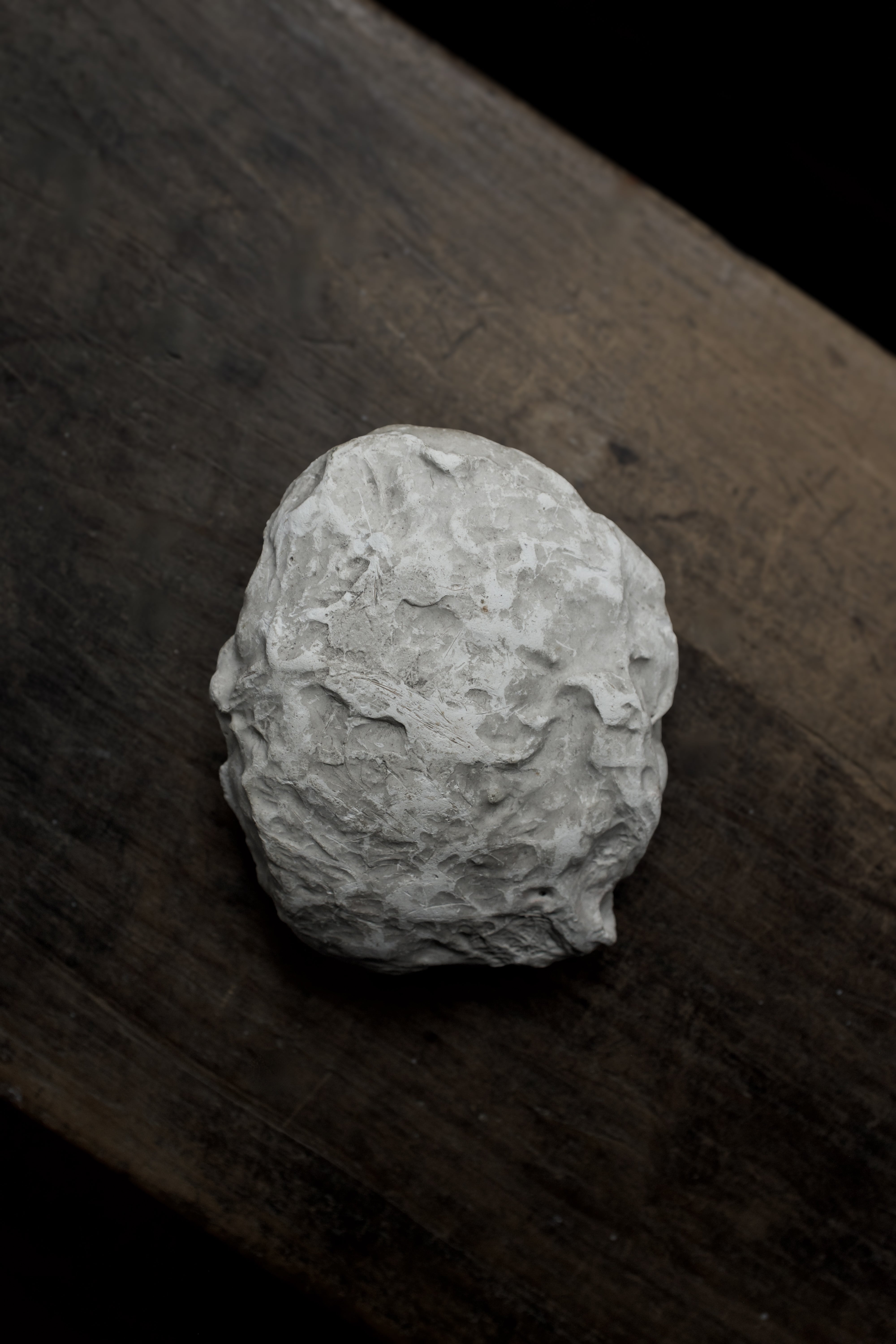  フランス 石膏 オブジェ アンティーク AN-23224, Plaster,- ambiant