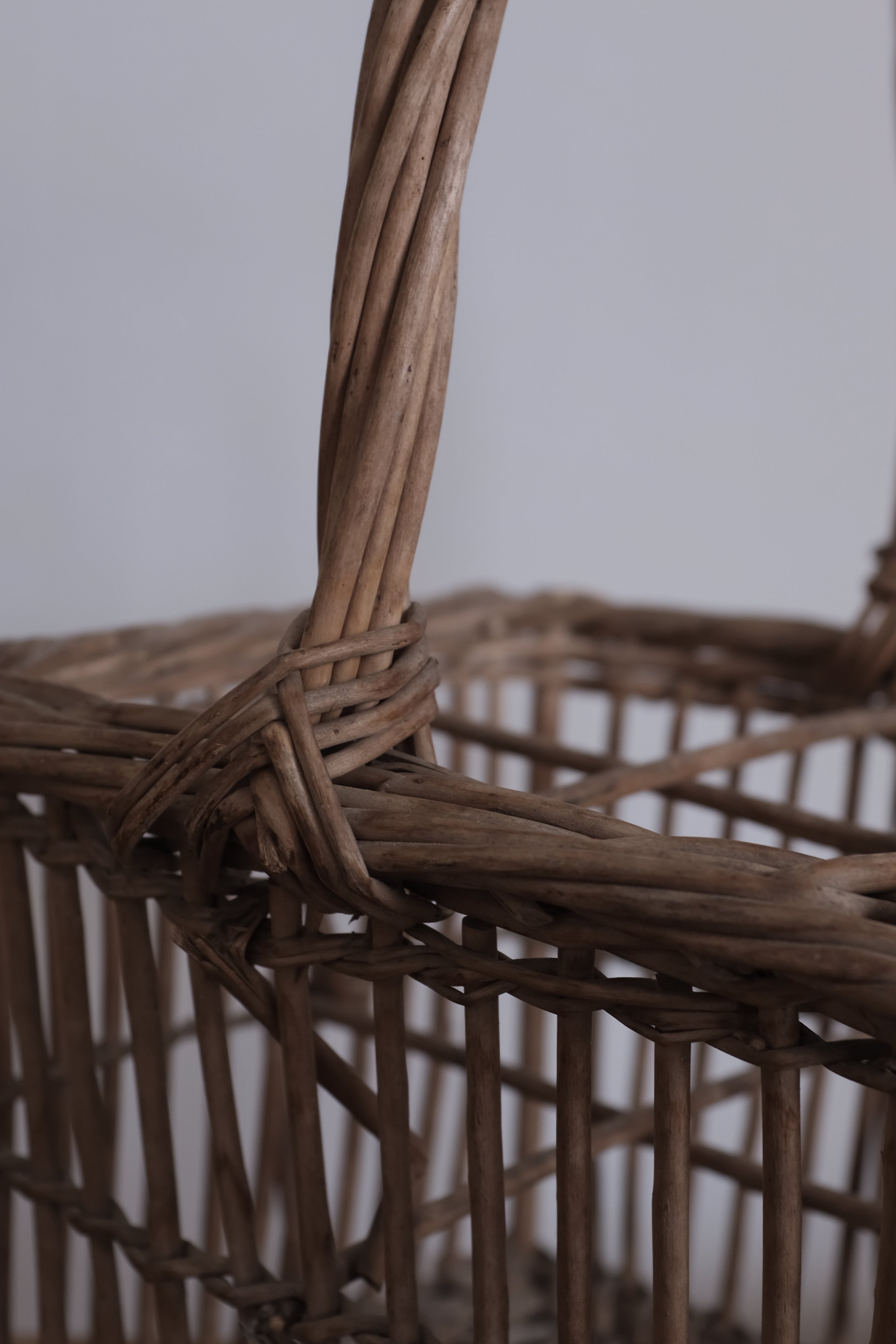  French Wicker Basket  "Panier" / フランス ボトル入れ用 パニエ, French Wicker Basket "Panier",- ambiant