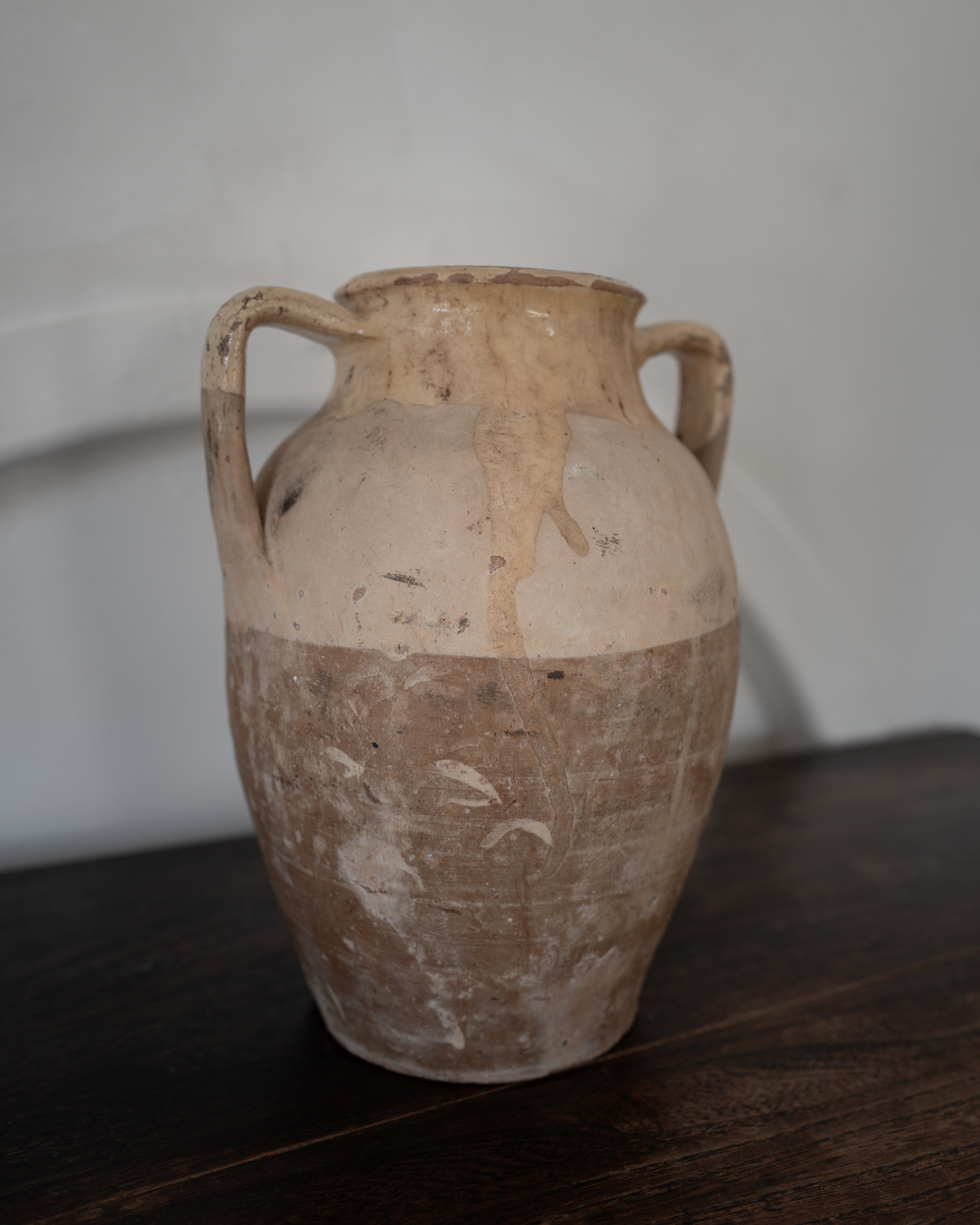 イタリア アンティーク 陶器 壺 19世紀 イタリア AN-25027