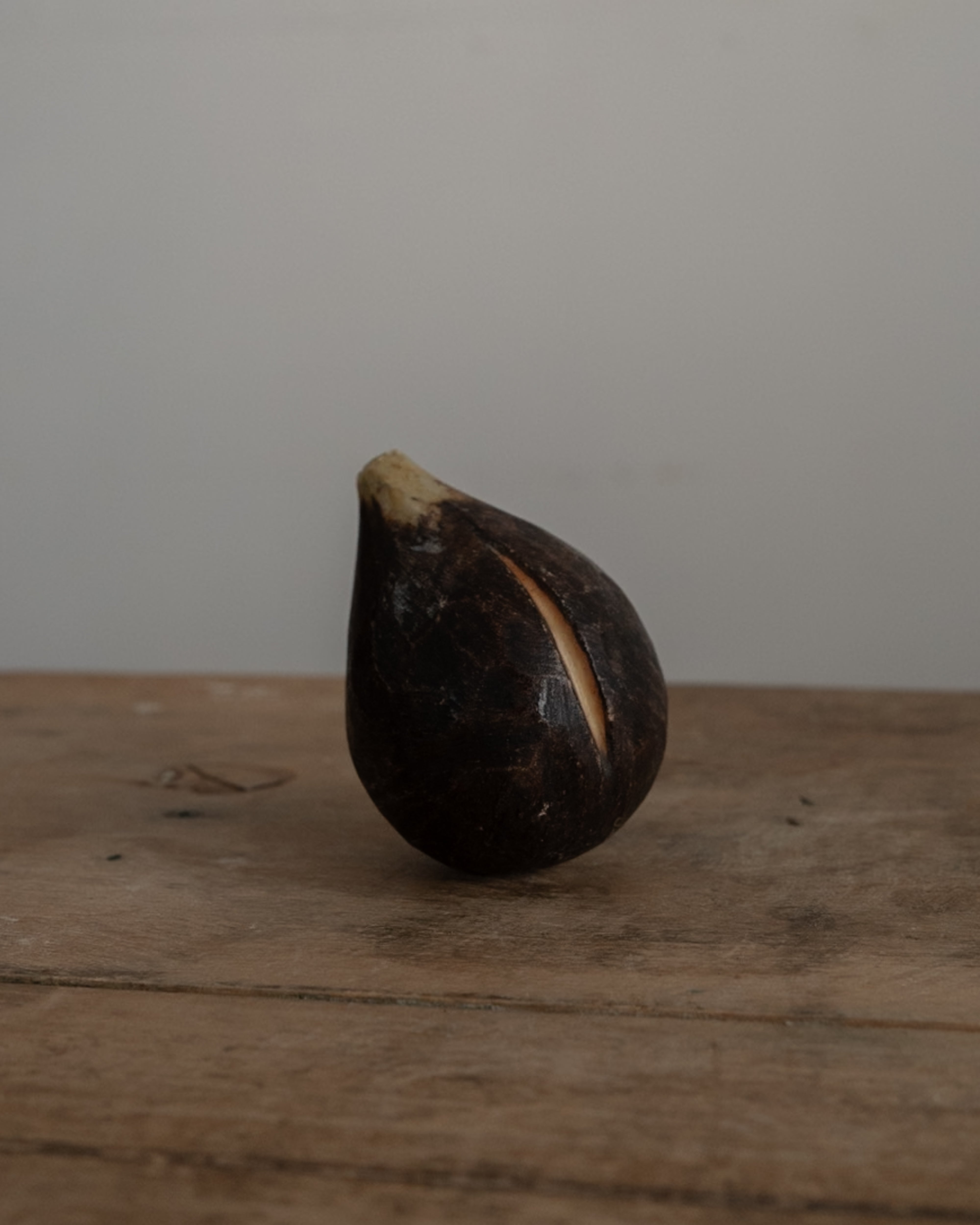 イタリア アンティーク 陶器 オブジェ イタリア AN-25142