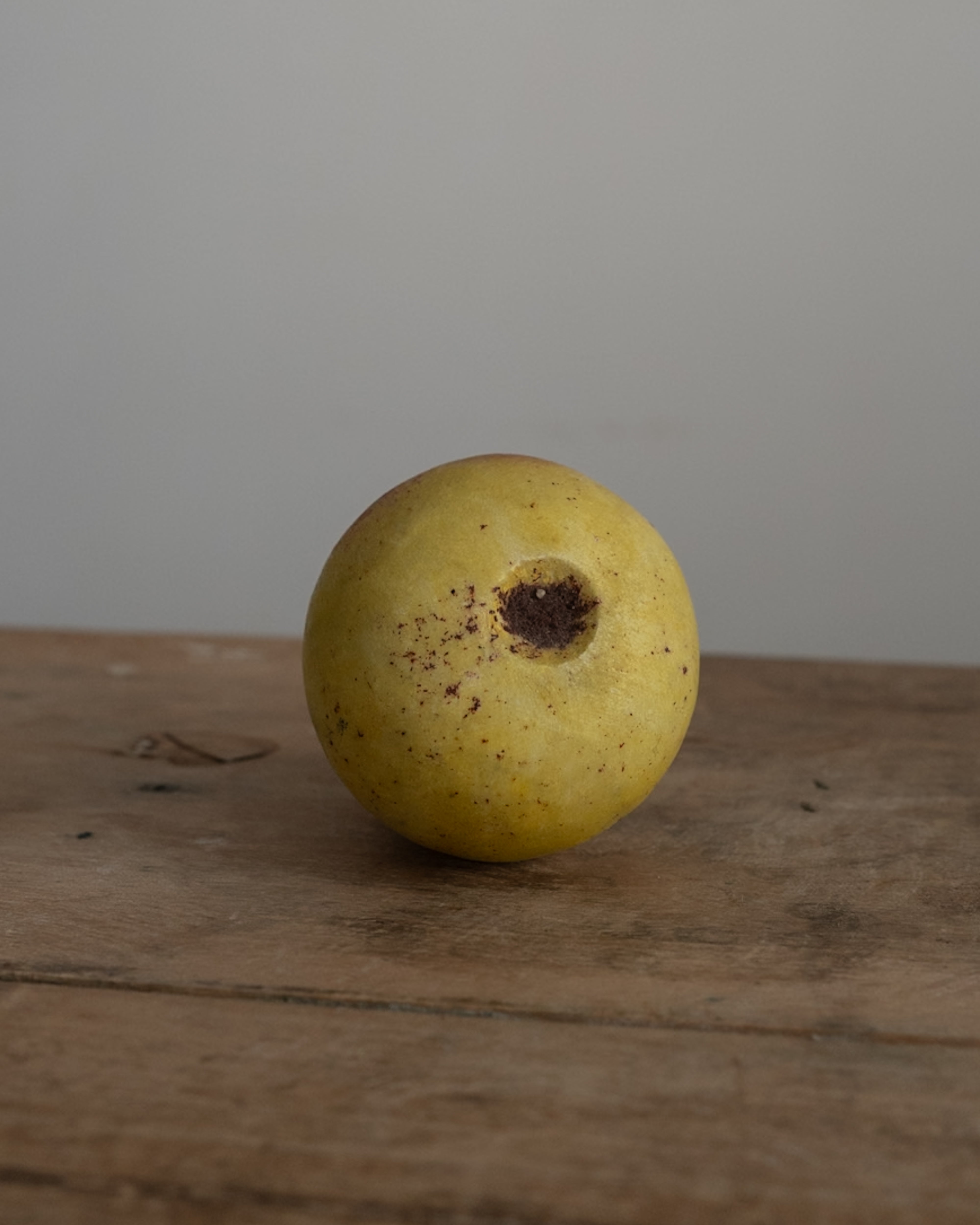 イタリア アンティーク 陶器 オブジェ イタリア AN-25136