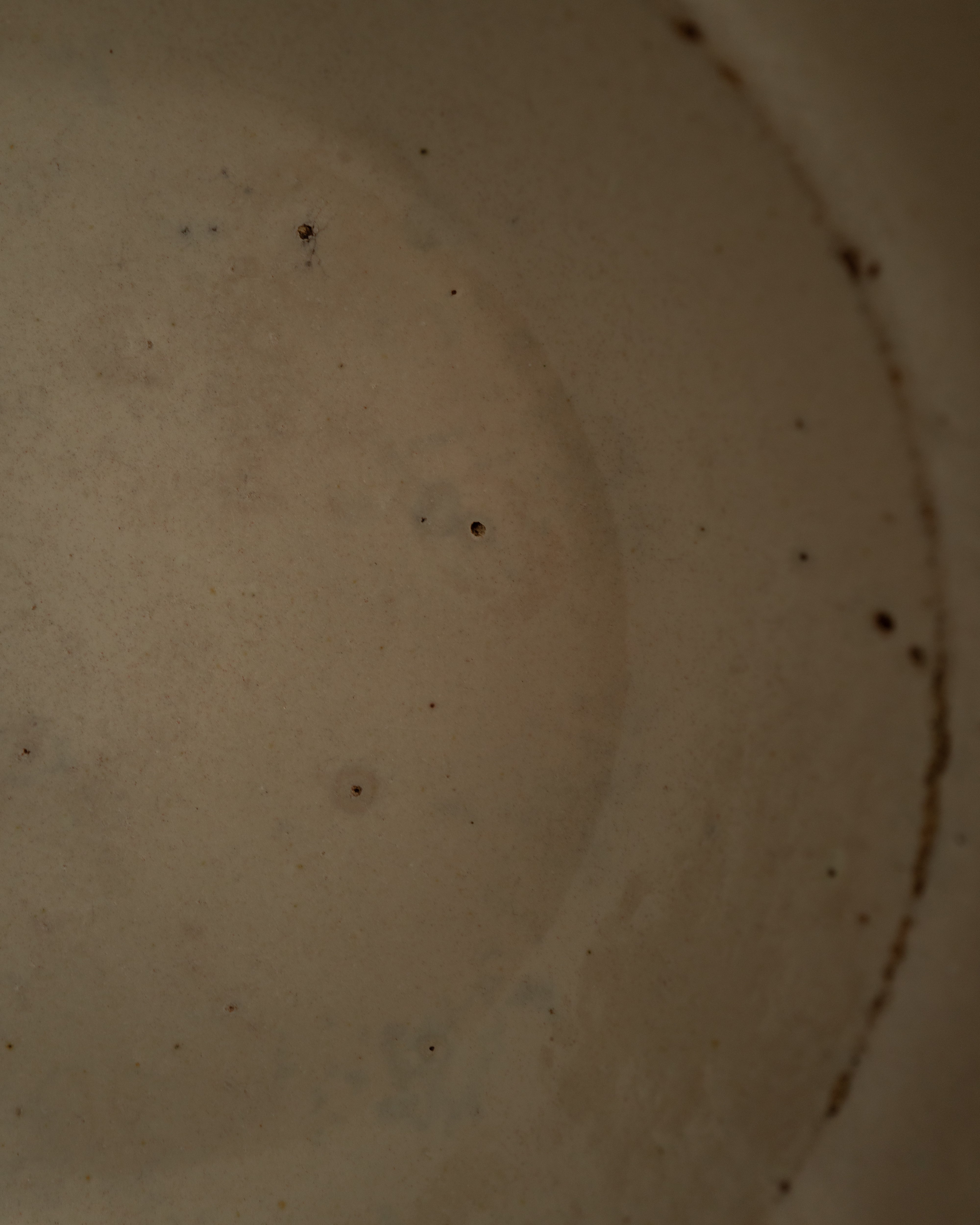 プーリア アンティーク 陶器 皿 19世紀 グロッターリエ AN-25194